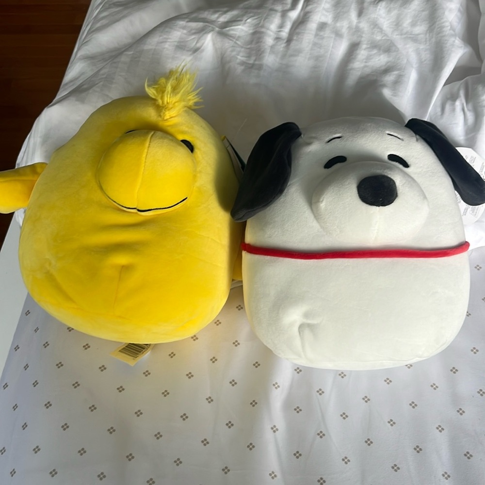 Squishmallows Peanuts Snoopy and Woodstock